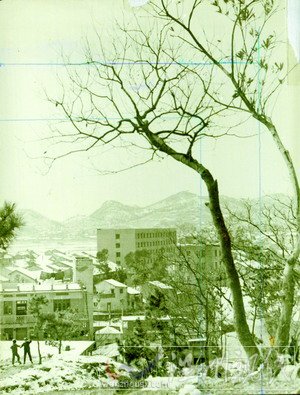 曾入選亞太地區(qū)民歌集——憶溫州民歌《叮叮當》