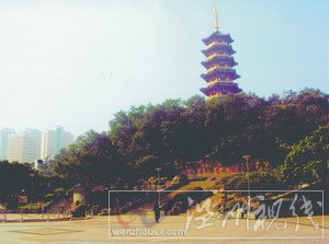 曾入選亞太地區(qū)民歌集——憶溫州民歌《叮叮當》