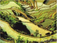 云中大漈景區(qū) 浙江省景