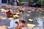 強雨雪及寒潮天氣來襲 今日河北連發(fā)五預(yù)警