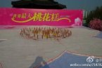 2014泰州鳳城河風(fēng)桃花節(jié) 3月30日世界最大桃花糕誕生