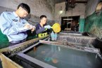 甌海梧田街道霞王村繁新路被關(guān)停的電鍍廠又開工被