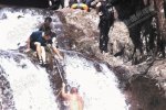 無錫驢友死亡 7月26日無錫驢友在楠溪江落水死亡