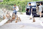 陳奕迅謝霆鋒野營食物遭猴子哄搶 謝霆鋒和陳奕迅吃