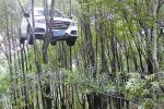 溫州一越野車掛樹上 實際上是越野車被吊車吊起時拍