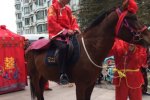 溫州永強(qiáng)古裝迎親 新郎騎馬迎親很拉風(fēng)