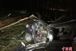 哈爾濱暴雨 大風(fēng)刮斷大樹砸中行駛中的車輛1人遇難