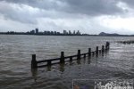 蘇迪羅致溫州6人死亡 8月9日臺(tái)風(fēng)蘇迪羅對(duì)溫州影響嚴(yán)