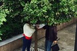 長江師范學(xué)院女生被劫持真相曝光