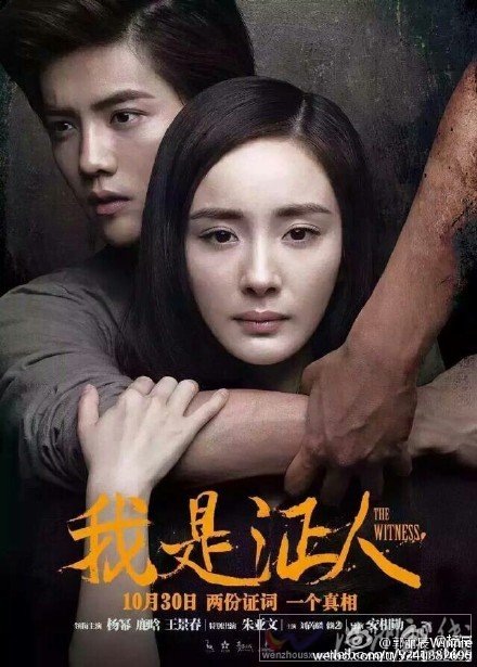 我是證人票房是多少　最終票房數(shù)據(jù)