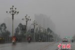 廣西大霧 3月16日廣西欽州強濃霧