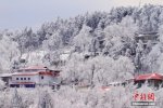 廬山霧凇 廬山三月飄雪現(xiàn)霧凇奇觀