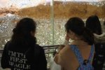 雷峰塔變金銀島 游客祈福扔硬幣