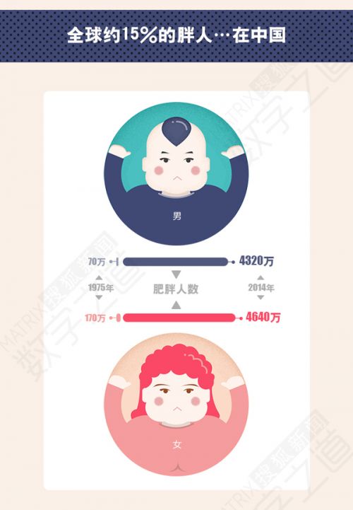 揭中國(guó)肥胖省份