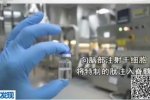美試驗(yàn)起死回生 腦死亡復(fù)活惹爭(zhēng)議