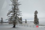 新疆國(guó)慶下雪 積雪20厘米