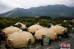 日本饅頭度假屋受歡迎 抗震好造型萌