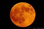 本世紀(jì)最長月全食 7月28日凌晨