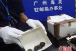 零食盒藏75只烏龜被海關(guān)查獲
