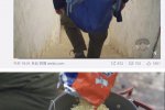 摘瀕危植物雪兔子煮泡面
