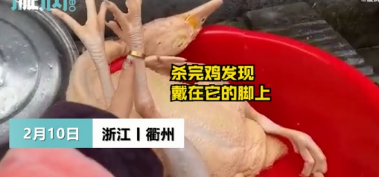 過(guò)年殺雞竟找到丟失多年的金戒指 戴在“雞腳”上還挺合適！